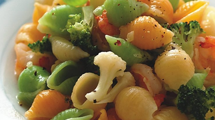 Tricolor Shell Pasta with Shrimp, Broccoli & Olive